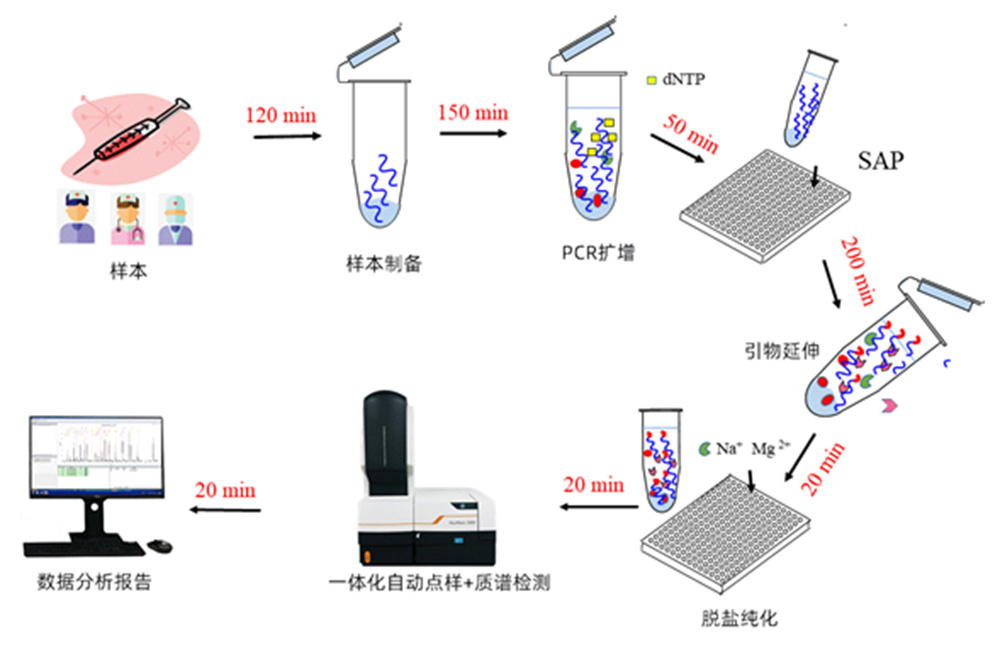 核酸質譜檢測流程示意圖